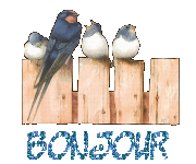 Gif animé bonjour